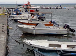 DSC05701 - Version 2